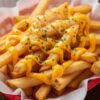 Cheese Fries